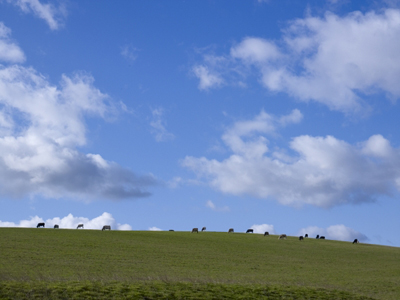 Polarized Sky reference file